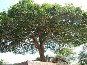 p9092316