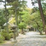 桜井神社　参道
