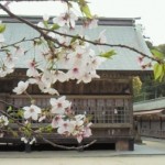桜井神社境内