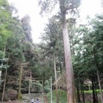 桜井大神宮へつづく道 桜井大神宮へつづく道
