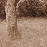 img_8308