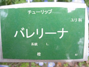 誰が付けたのか？？