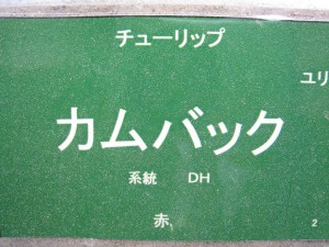 img_8720