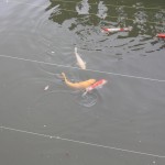 img_00411 img_00411
