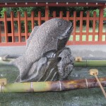 めで鯛！！