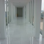 p1000827