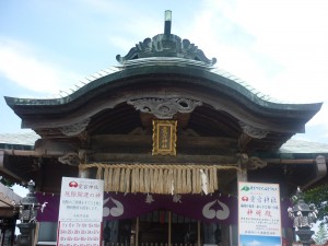 p10104531