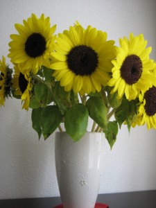 img_0703