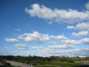 img_5549