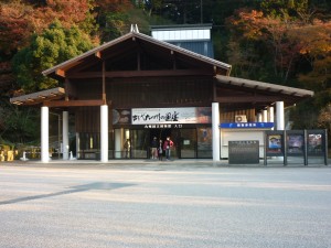 p10302321