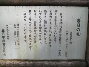 img_1012