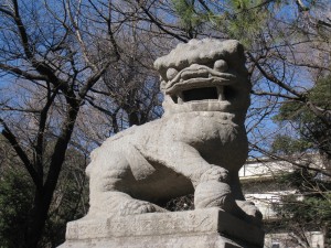 img_12951