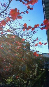 2010020609220002