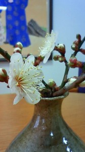 2010020609240001