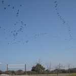 img_2074