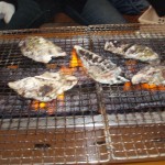 p2100060