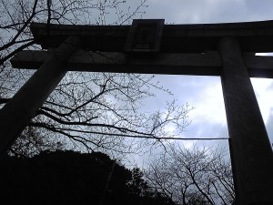 100314_1141001