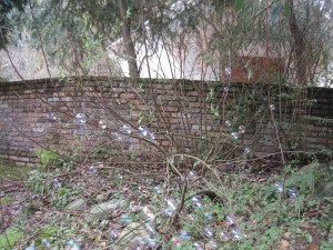 img_27861