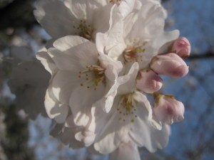 img_2816