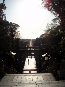 p3210118