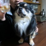 cimg03242