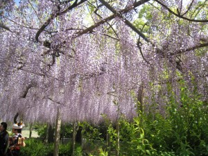 img_3578