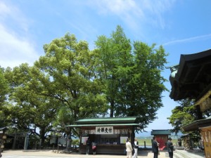 e794bbe5838f-0132