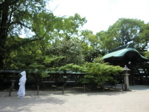 e794bbe5838f-017