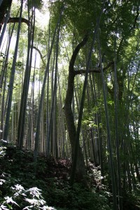 img_3469