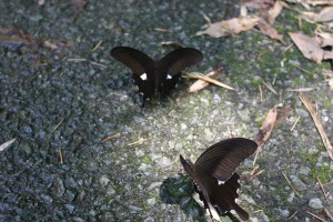 img_3477