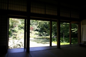 img_3493