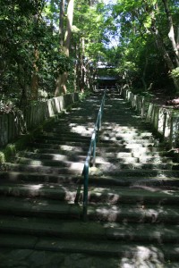 img_3498