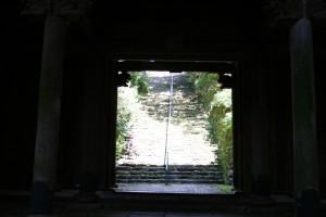 img_3501