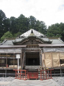 img_54451 img_54451