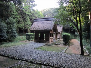 img_0046
