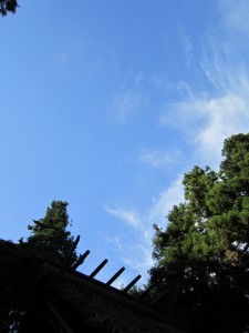 img_0049