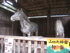 img_6651