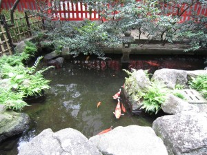 img_0076