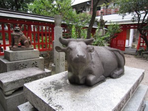 img_0078