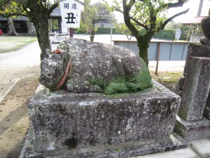img_0191