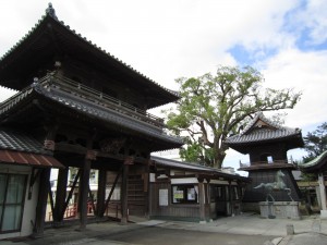 img_0215 img_0215