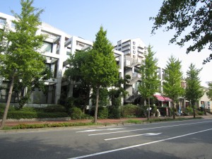 img_0255
