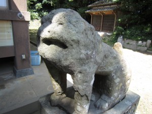 img_0337