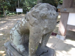 img_0338