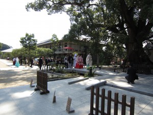 img_0386