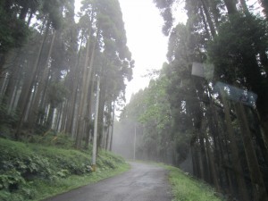 img_0437