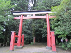 img_0440
