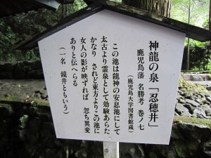 img_0441