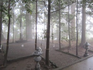 img_0447