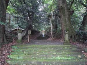 img_0494